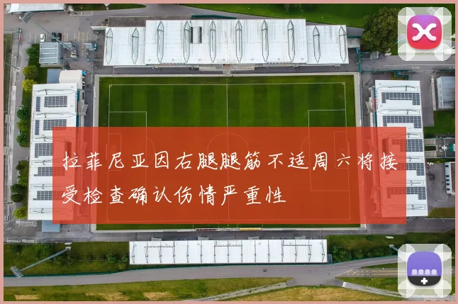 拉菲尼亚因右腿腿筋不适周六将接受检查确认伤情严重性